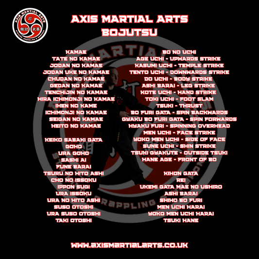 Axis Bojutsu Instructor Course