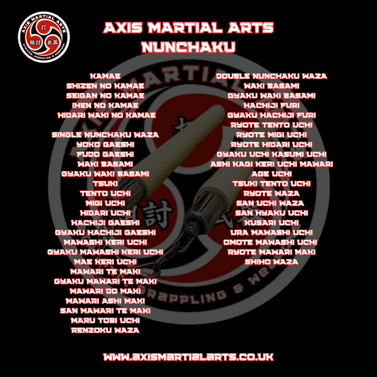Axis Nunchaku Instructor Course