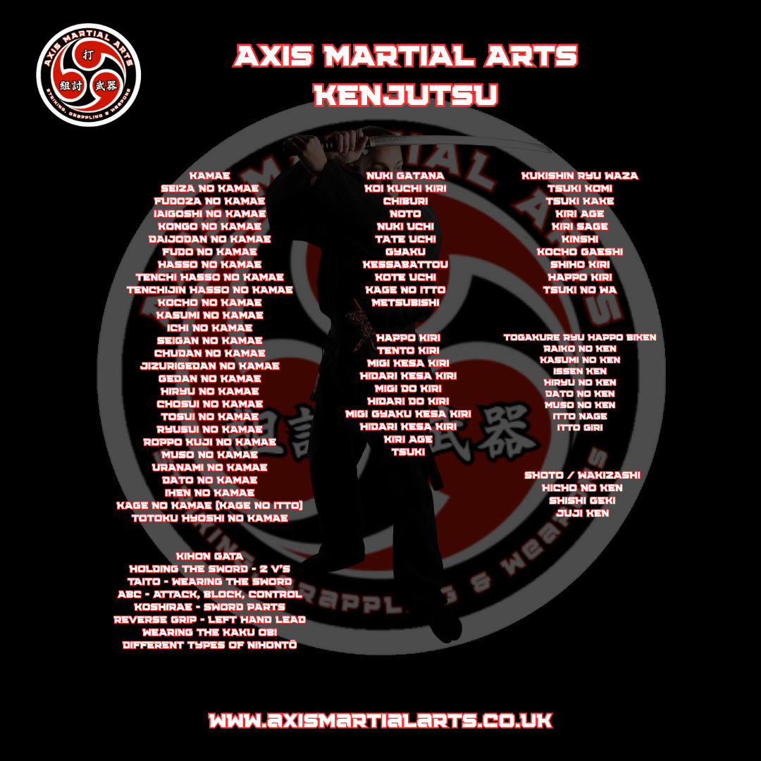 Axis Kenjutsu Instructor Course