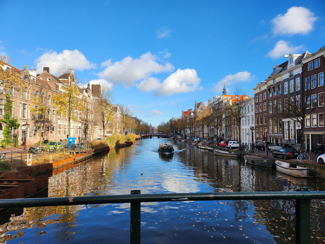 Axis Martial Arts In Amsterdam 軸武道