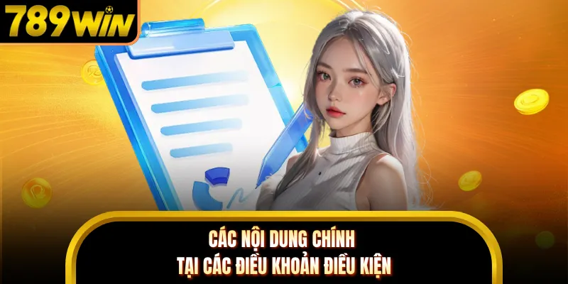 Các nội dung chính tại các điều khoản điều kiện